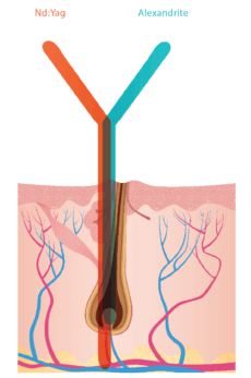 BLEND X technology infographics